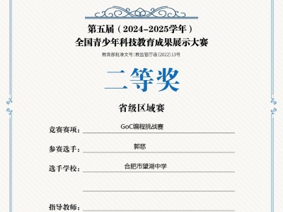 全国青少年科技教育成果展示大赛-省级区域赛-二等奖