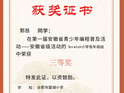 第一届安徽省青少年编程普及活动三等奖