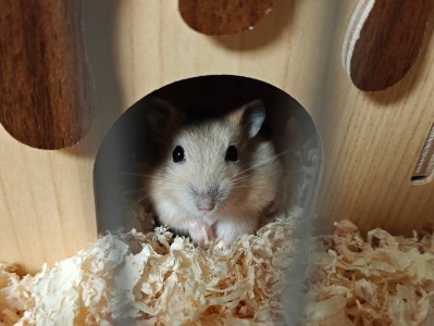 我家的新成员-郭π