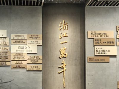 浙博，拿下