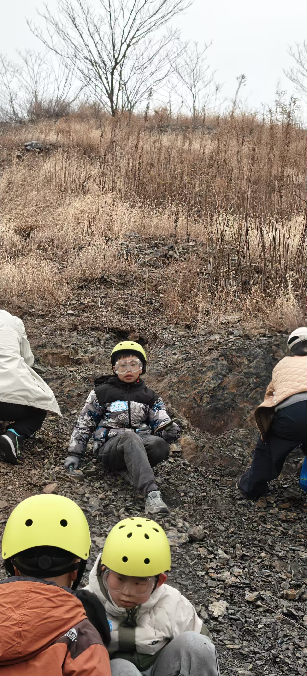 寻宝记，去挖化石咯