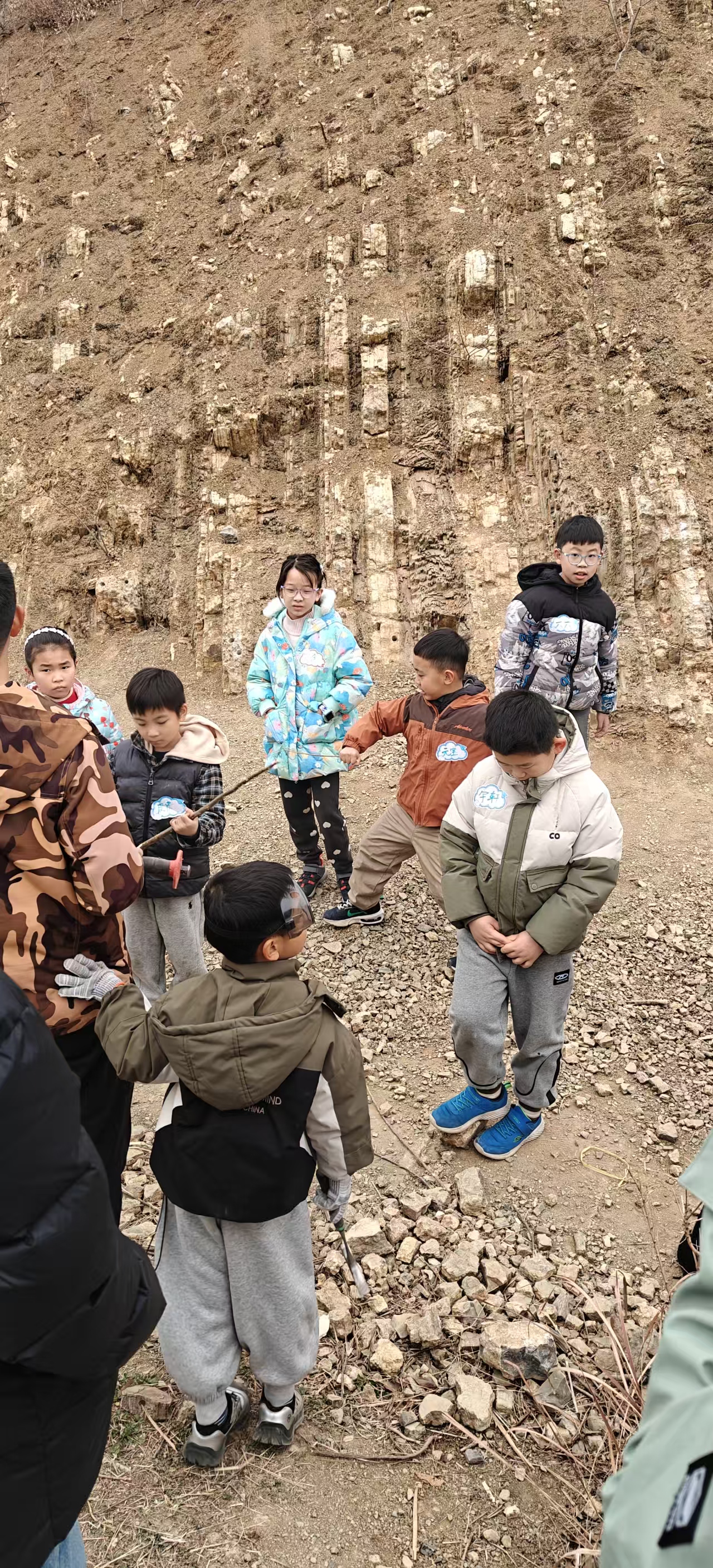 寻宝记，去挖化石咯